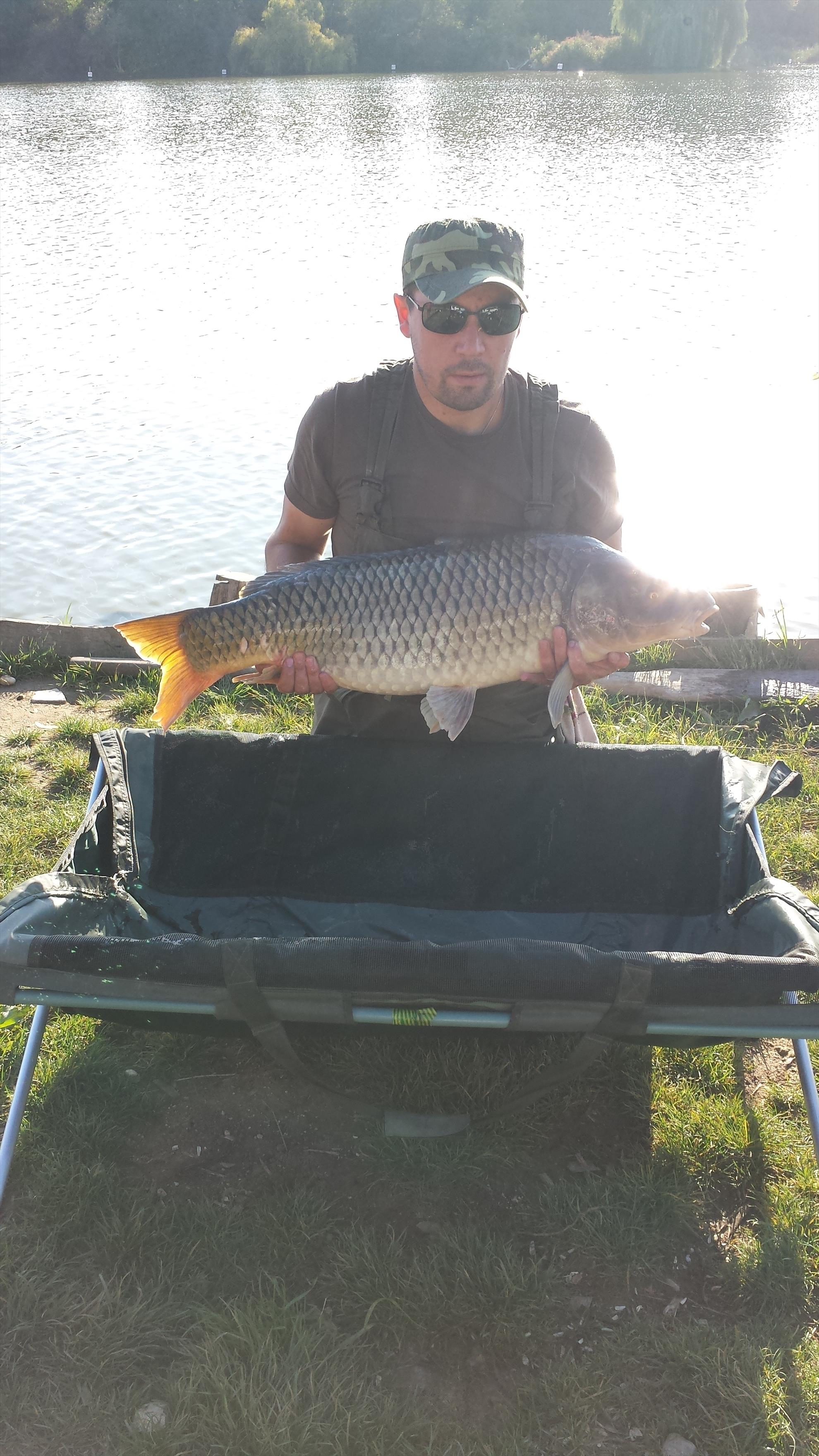 Hermes Peris 27 - 28 septembrie 2014 - 201409281654220.jpg